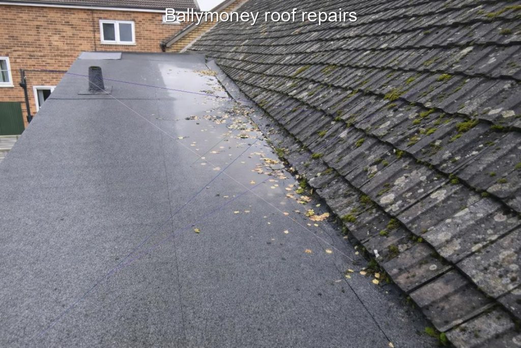 Ballymoney roof repairs