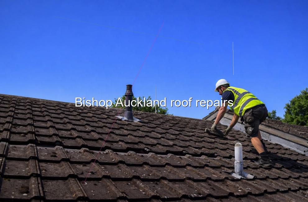 Bishop Auckland roof repairs