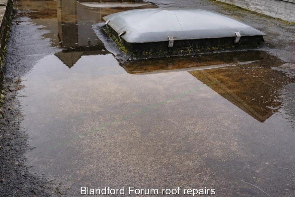 Blandford Forum roof repairs