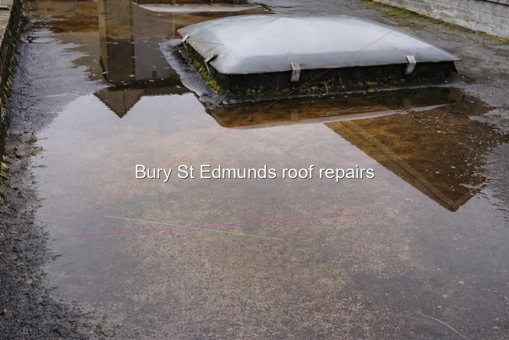 Bury St Edmunds roof repairs