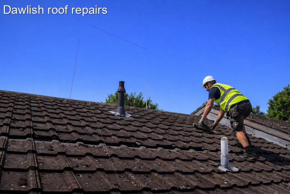 Dawlish roof repairs
