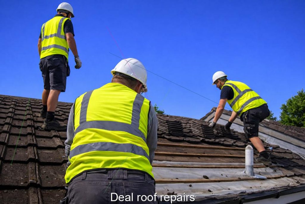 Deal roof repairs