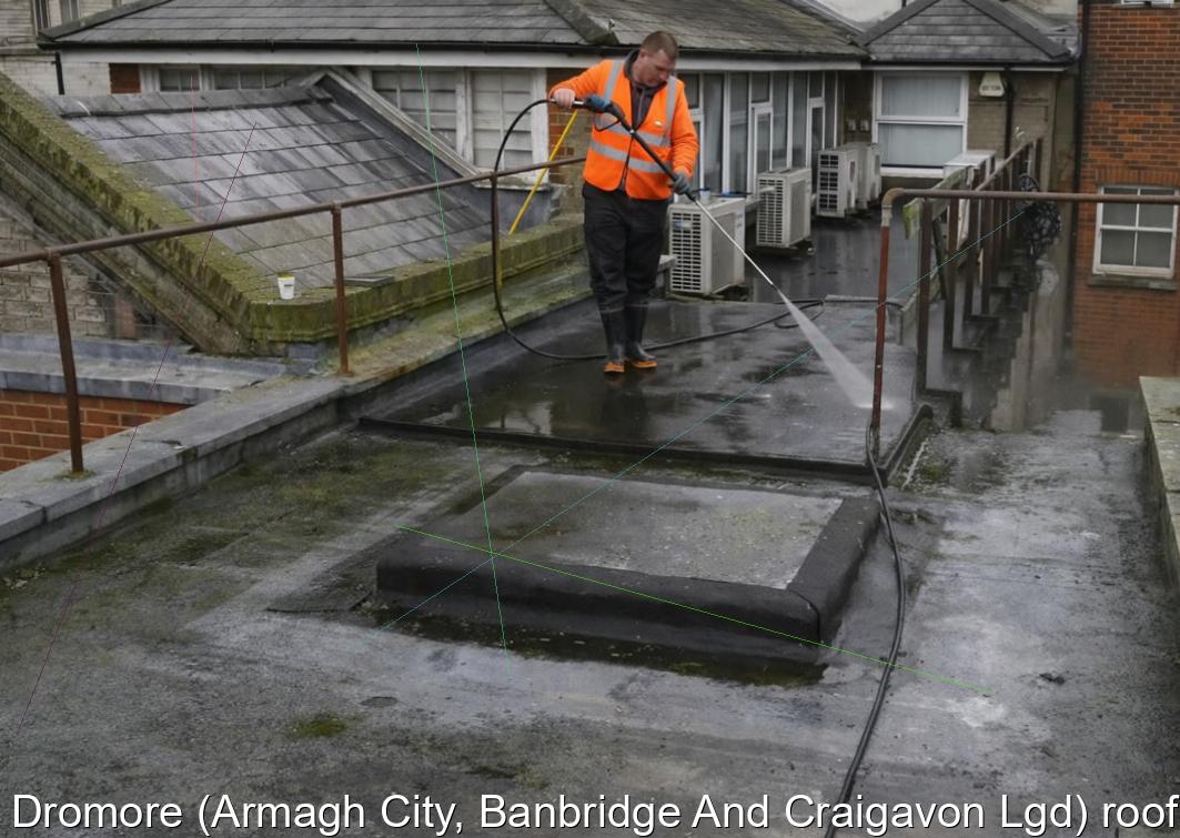 Dromore Armagh City Banbridge And Craigavon Lgd roof repairs
