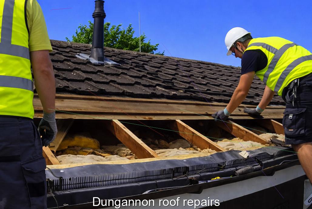 Dungannon roof repairs