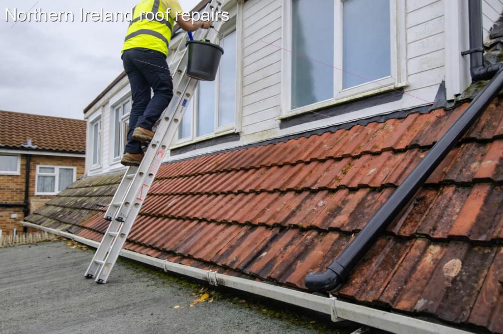 Northern Ireland roof repairs