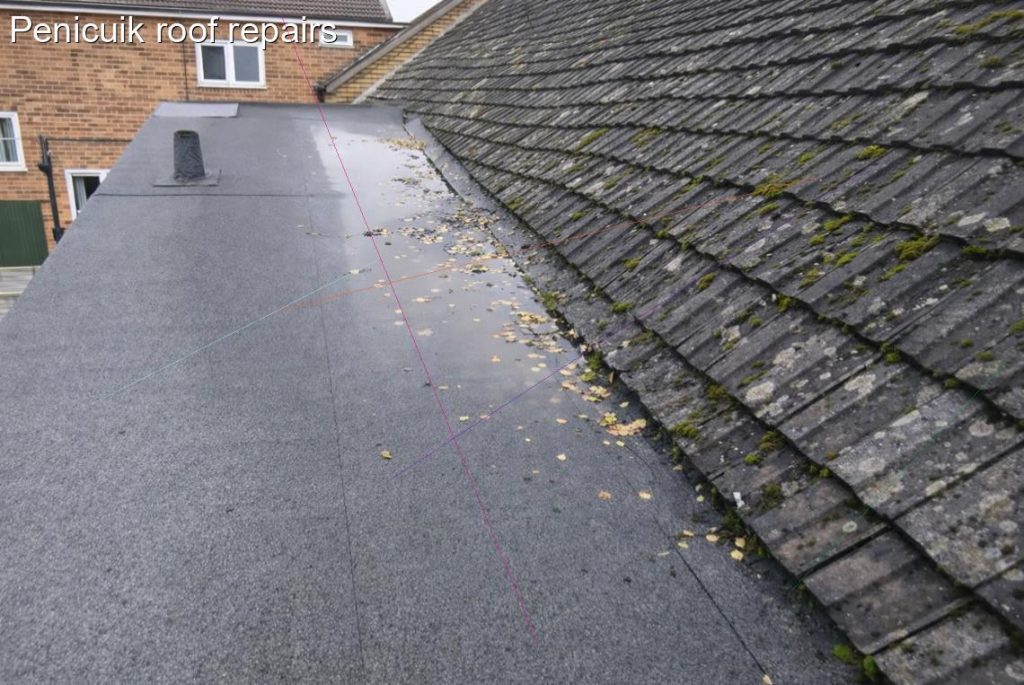 Penicuik roof repairs