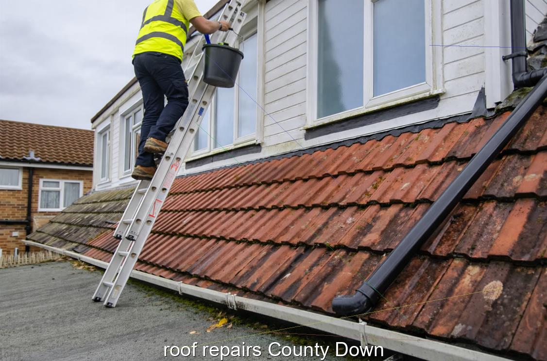 roof repairs County Down
