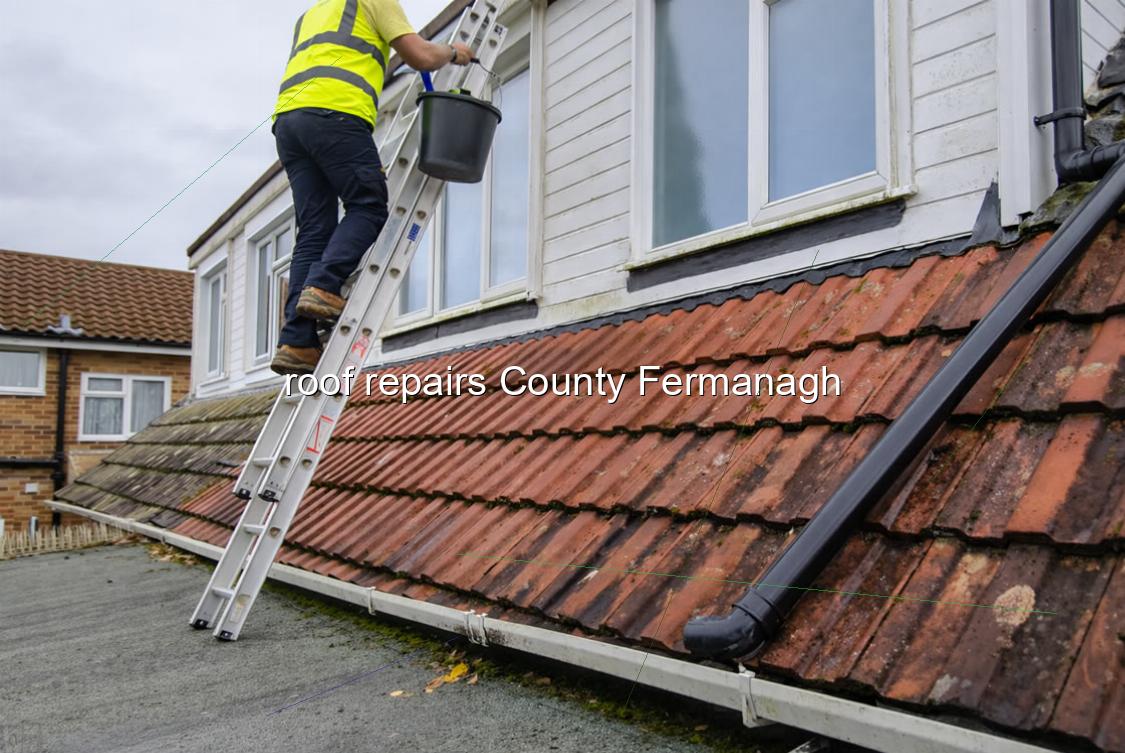 roof repairs County Fermanagh