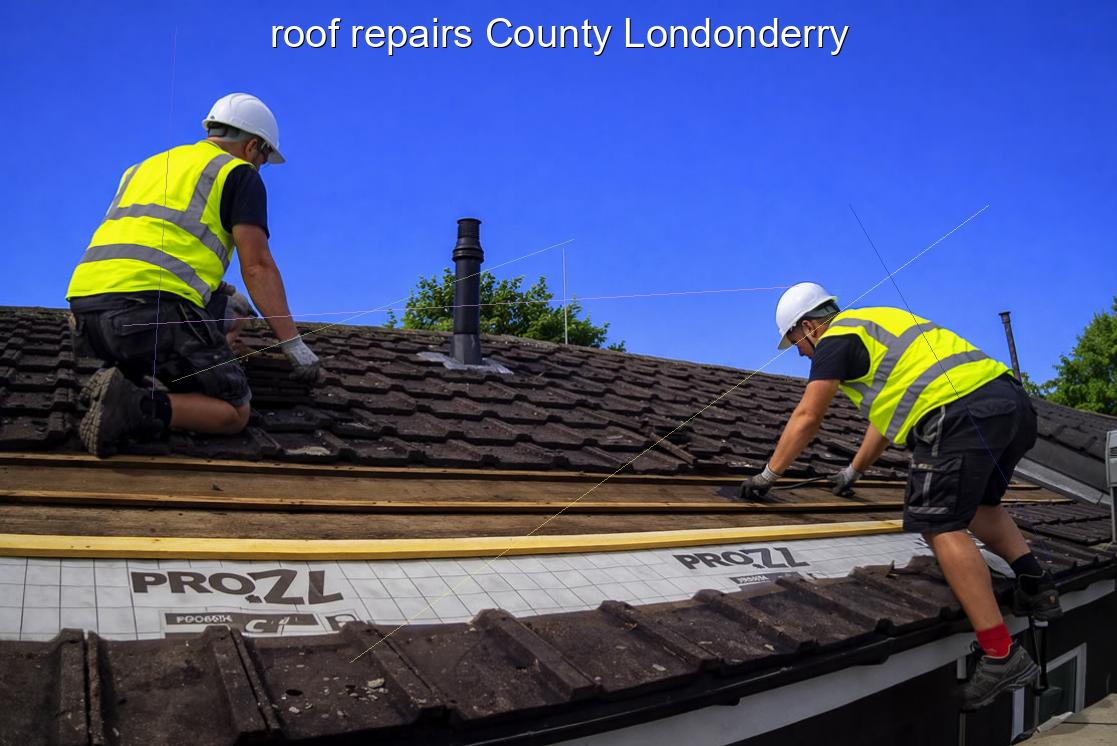 roof repairs County Londonderry