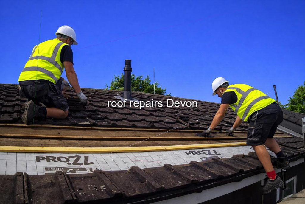 roof repairs Devon