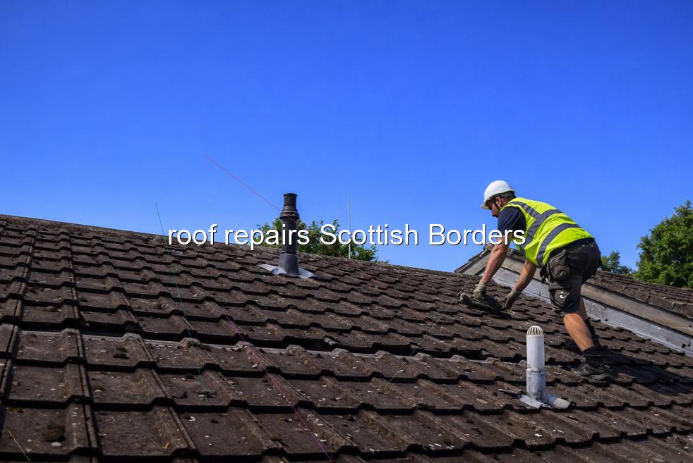 roof repairs Scottish Borders