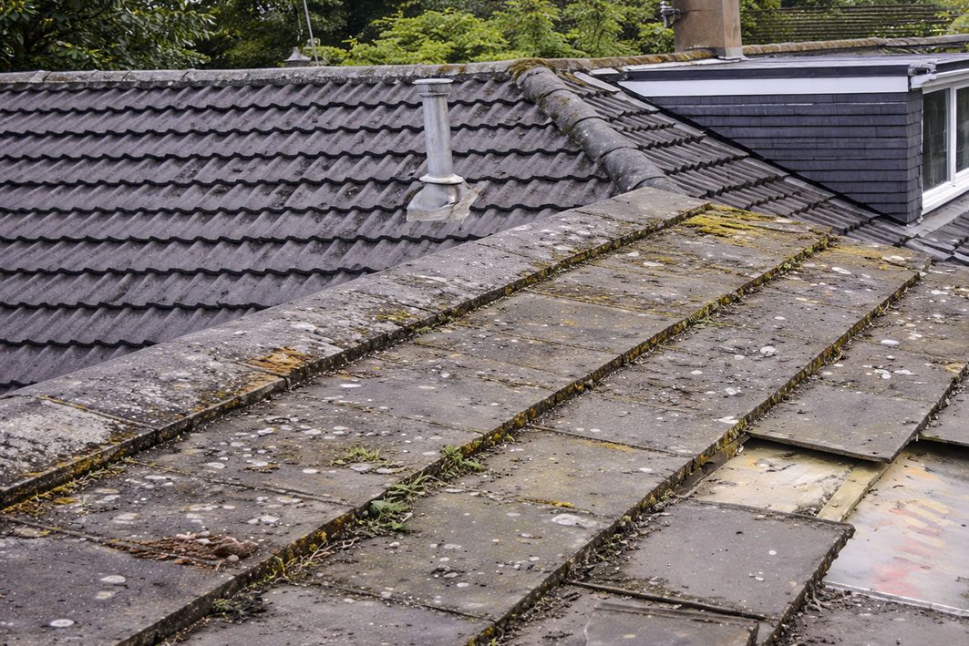 temporary roof leak fix moss covered roof